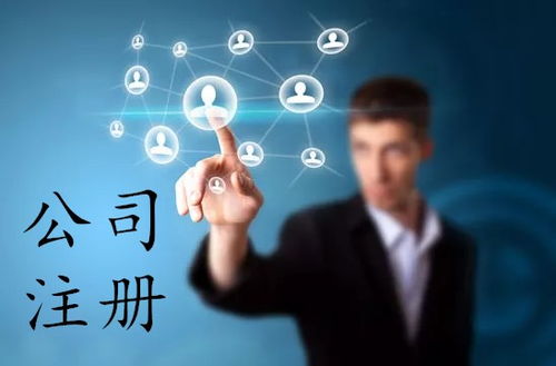 上海軟件公司注冊全攻略 流程、費用與網絡技術服務指南